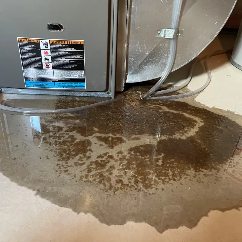 Appliance Leak Cleanup in Whitley City, KY