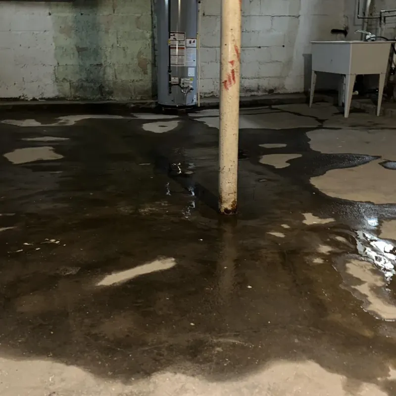 Emergency Water Extraction And Removal in Whitley City, KY